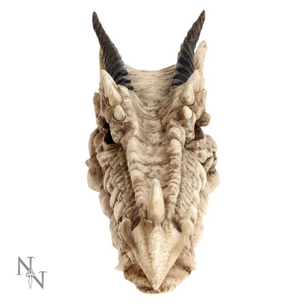 Dragon Skull Incense Holder - Image 5
