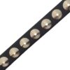 Bullet69 1 Row Conical Studded Skinny Belt