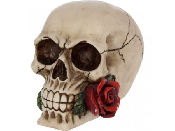 Rose from the Dead Skull Figure