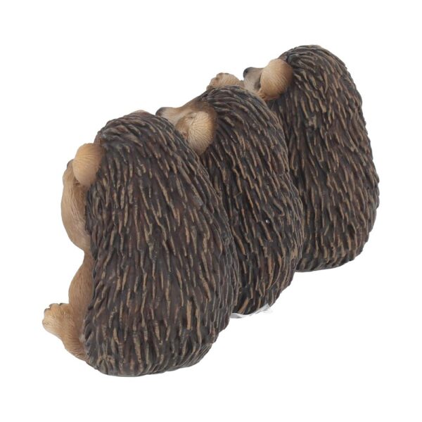 Three Wise Hedgehogs - Image 8