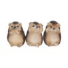Three Wise Hedgehogs