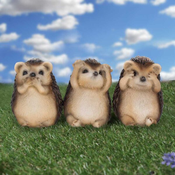 Three Wise Hedgehogs - Image 5