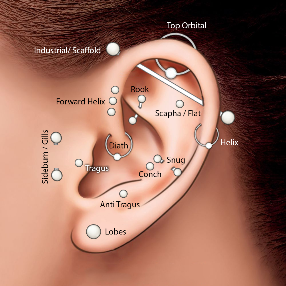 Piercings Ears Diagram 1