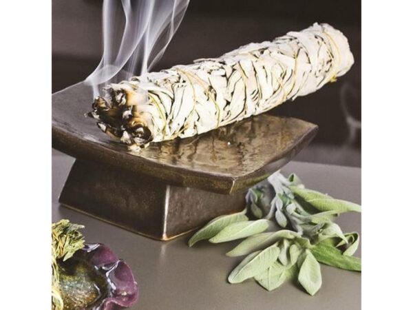 White Sage Smudge Sticks Small Medium Incense Positive Vibes Spiritual Aroma Therapy Fragrance
