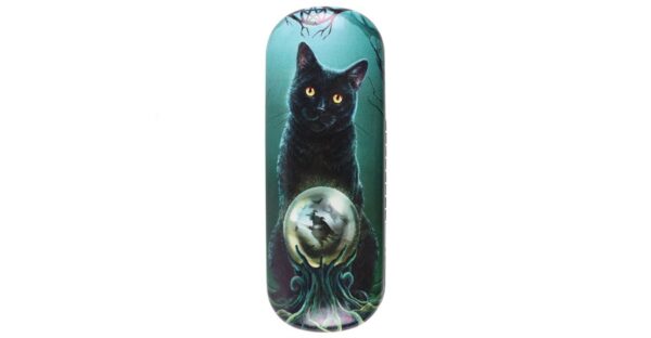 Rise of the Witches Glasses Case