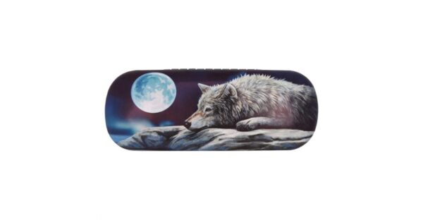 Quiet Reflection Glasses Case