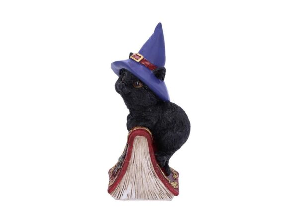 Hocus Cat Nemesis Now Grimoire Spell Book Occult Witchcraft Familiar Spiritual Dark Spirits Figure Magic