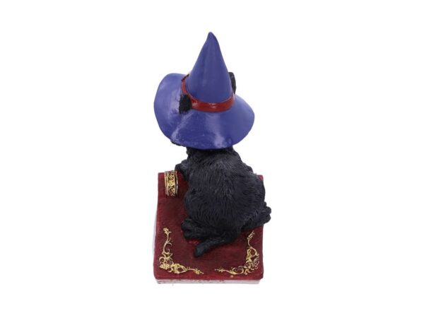 Hocus Cat Nemesis Now Grimoire Spell Book Occult Witchcraft Familiar Spiritual Dark Spirits Figure Magic