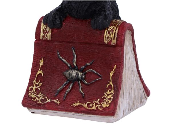 Hocus Cat Nemesis Now Grimoire Spell Book Occult Witchcraft Familiar Spiritual Dark Spirits Figure Magic