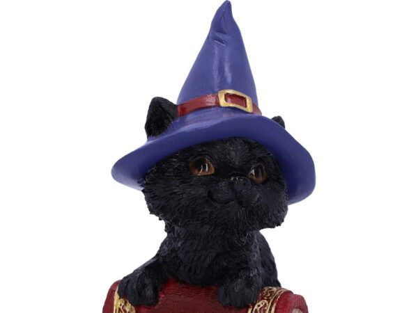Hocus Cat Nemesis Now Grimoire Spell Book Occult Witchcraft Familiar Spiritual Dark Spirits Figure Magic