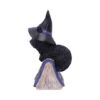 Pocus Cat Nemesis Now Grimoire Spell Book Occult Witchcraft Familiar Spiritual Dark Spirits Figure Magic