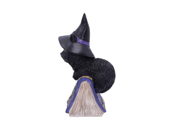 Pocus Cat Nemesis Now Grimoire Spell Book Occult Witchcraft Familiar Spiritual Dark Spirits Figure Magic