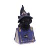 Pocus Cat Nemesis Now Grimoire Spell Book Occult Witchcraft Familiar Spiritual Dark Spirits Figure Magic