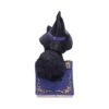 Pocus Cat Nemesis Now Grimoire Spell Book Occult Witchcraft Familiar Spiritual Dark Spirits Figure Magic