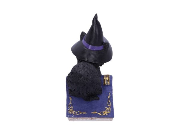 Pocus Cat Nemesis Now Grimoire Spell Book Occult Witchcraft Familiar Spiritual Dark Spirits Figure Magic
