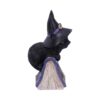 Pocus Cat Nemesis Now Grimoire Spell Book Occult Witchcraft Familiar Spiritual Dark Spirits Figure Magic