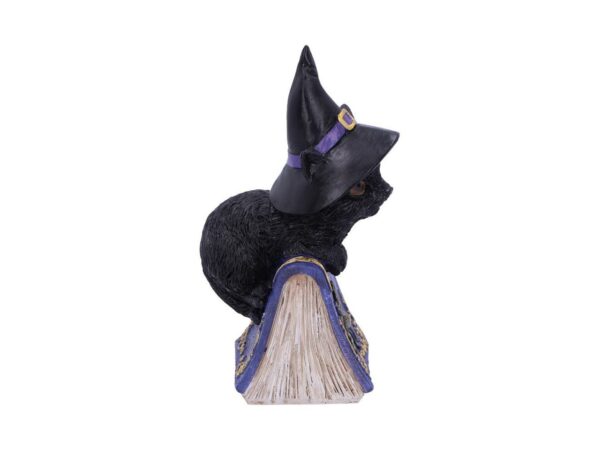 Pocus Cat Nemesis Now Grimoire Spell Book Occult Witchcraft Familiar Spiritual Dark Spirits Figure Magic