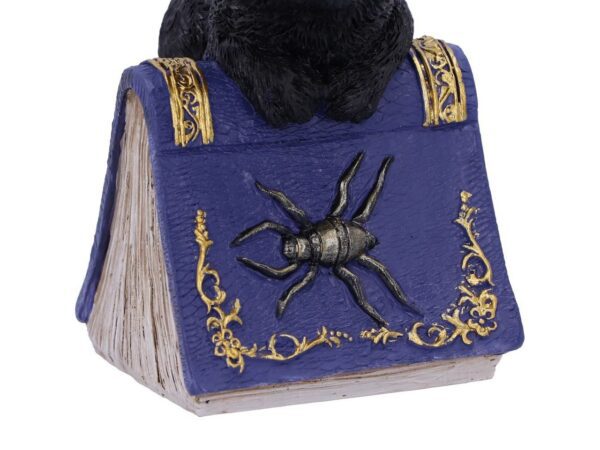 Pocus Cat Nemesis Now Grimoire Spell Book Occult Witchcraft Familiar Spiritual Dark Spirits Figure Magic