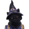 Pocus Cat Nemesis Now Grimoire Spell Book Occult Witchcraft Familiar Spiritual Dark Spirits Figure Magic
