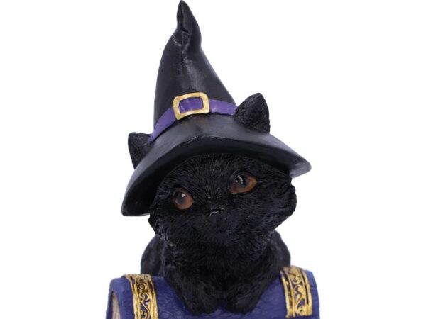 Pocus Cat Nemesis Now Grimoire Spell Book Occult Witchcraft Familiar Spiritual Dark Spirits Figure Magic