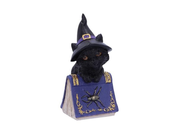 Pocus Cat Nemesis Now Grimoire Spell Book Occult Witchcraft Familiar Spiritual Dark Spirits Figure Magic