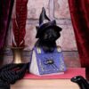 Pocus Cat Nemesis Now Grimoire Spell Book Occult Witchcraft Familiar Spiritual Dark Spirits Figure Magic