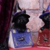 Pocus Cat Nemesis Now Grimoire Spell Book Occult Witchcraft Familiar Spiritual Dark Spirits Figure Magic