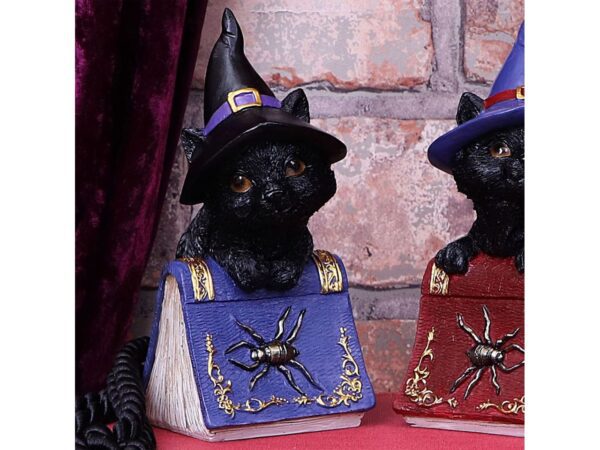 Pocus Cat Nemesis Now Grimoire Spell Book Occult Witchcraft Familiar Spiritual Dark Spirits Figure Magic
