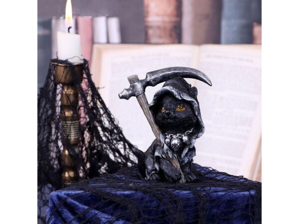 Amara Cat Nemesis Now Shroud Cape Cloak Scythe Chain Skulls Occult Grim Reaper Death Familiar Spiritual Dark Spirits Figure Magic