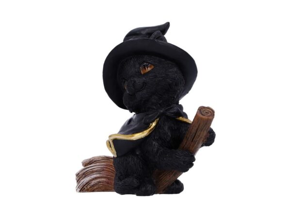Tabitha Cat Nemesis Now Broom Cape Occult Witchcraft Familiar Spiritual Dark Spirits Figure Magic