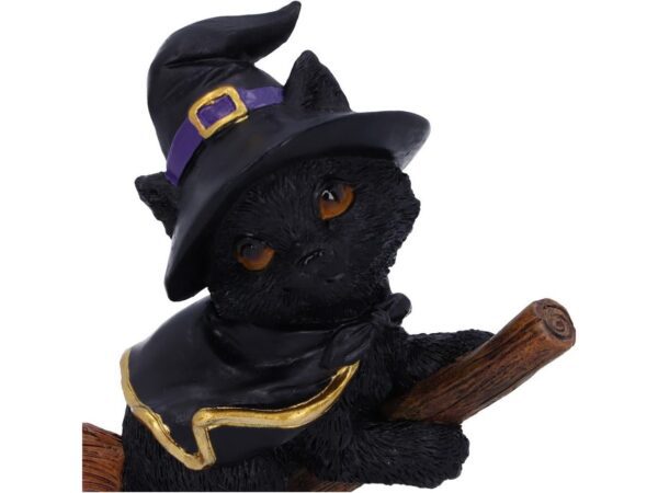 Tabitha Cat Nemesis Now Broom Cape Occult Witchcraft Familiar Spiritual Dark Spirits Figure Magic