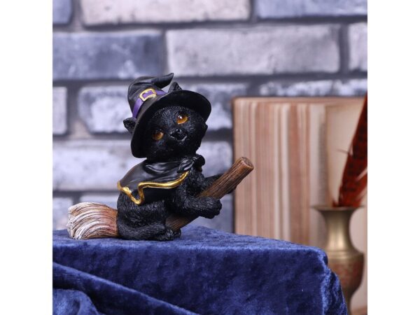 Tabitha Cat Nemesis Now Broom Cape Occult Witchcraft Familiar Spiritual Dark Spirits Figure Magic