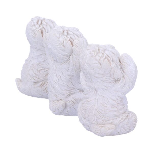 Three Wise Westies - Image 7