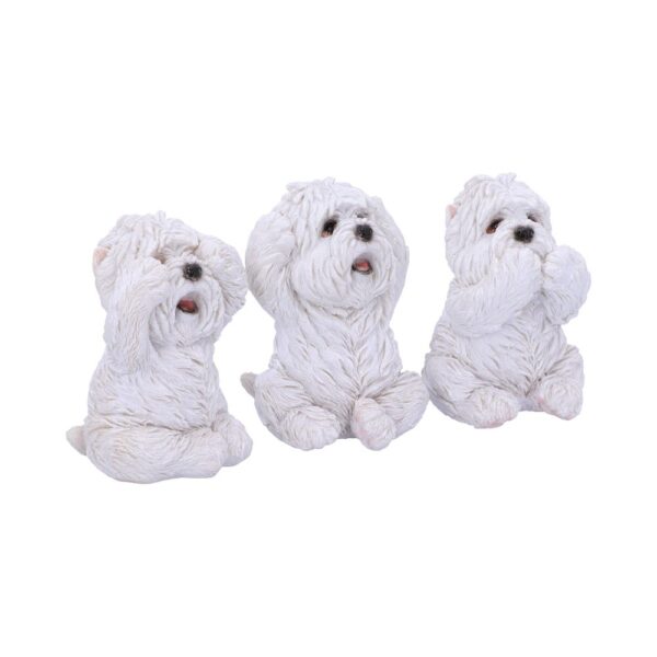 Three Wise Westies - Image 8