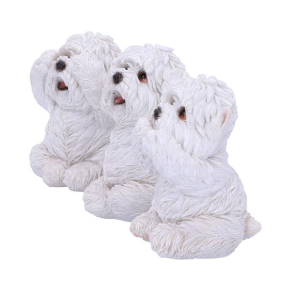 Three Wise Westies - Image 2