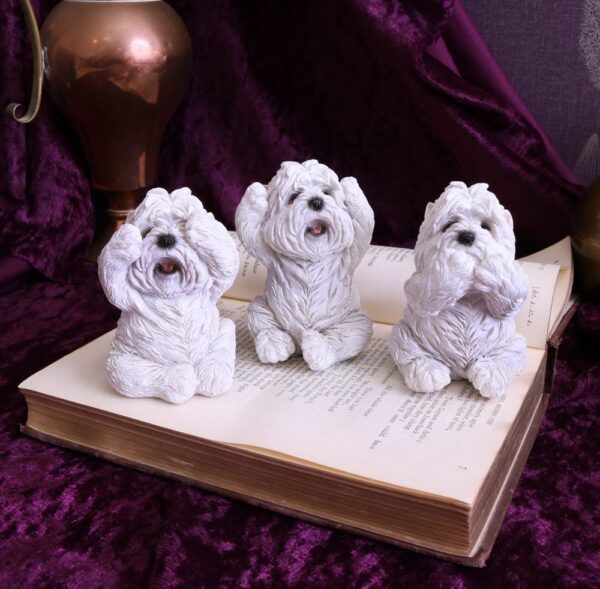 Three Wise Westies - Image 4