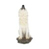 Storms Cry Wolf - Image 3