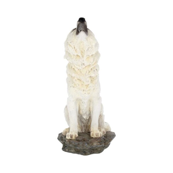Storms Cry Wolf - Image 3