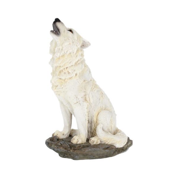 Storms Cry Wolf - Image 4