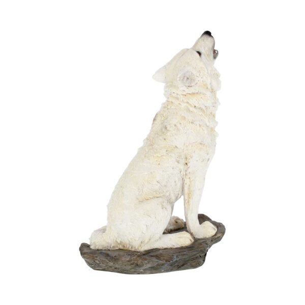 Storms Cry Wolf - Image 7