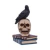 Ravens Spell - Image 3