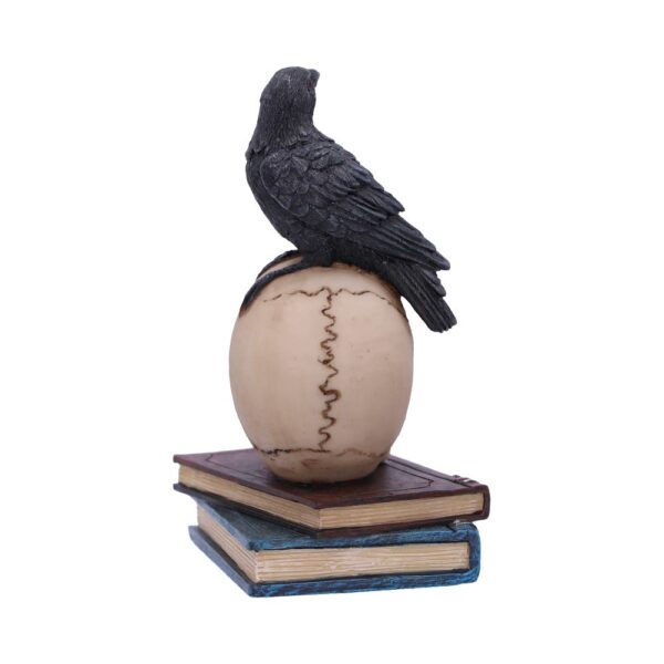 Ravens Spell - Image 5