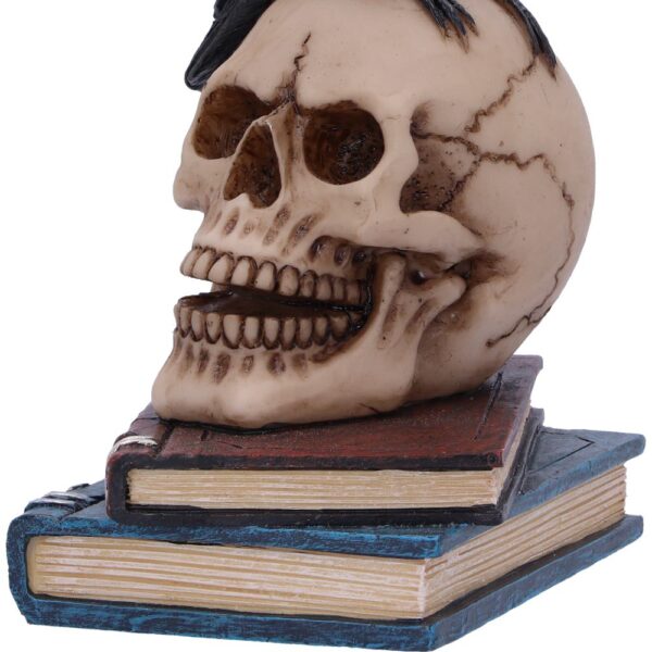 Ravens Spell - Image 6