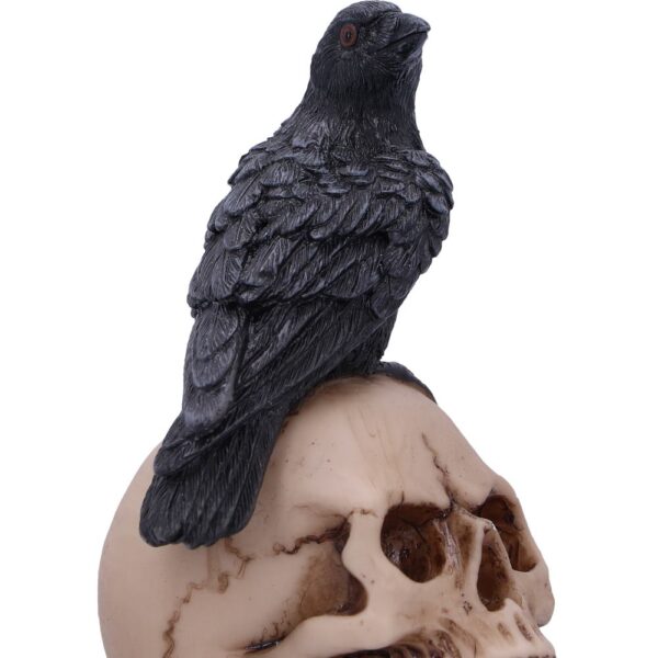 Ravens Spell - Image 7