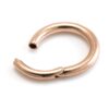 rose gold hinge