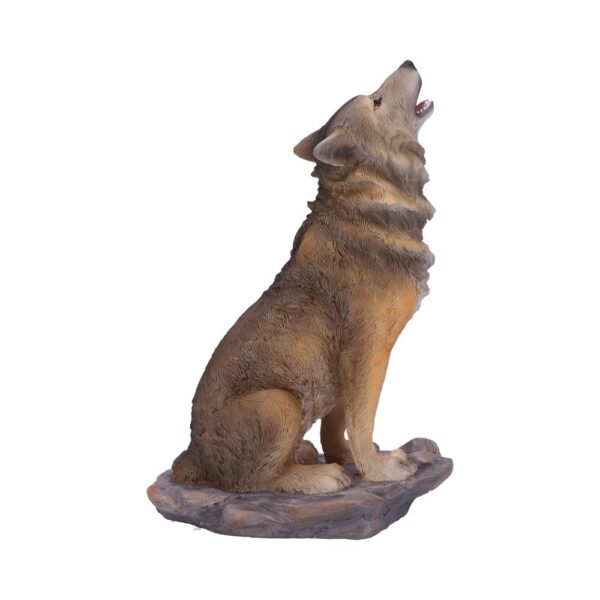Mountains Cry Wolf - Image 5