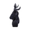 Baphomet Bust - Image 6