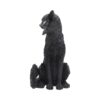Salem - Image 3