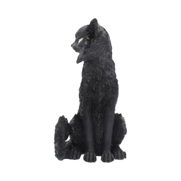 Salem - Image 3