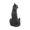 Salem - Image 5